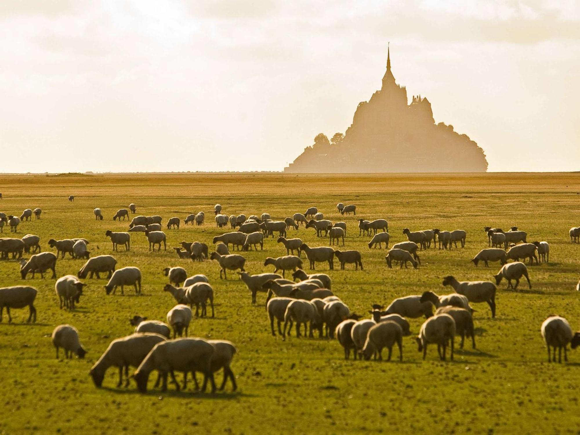 Hotelf1 Avranches Baie Du Mont Saint Michel Eksteriør bilde